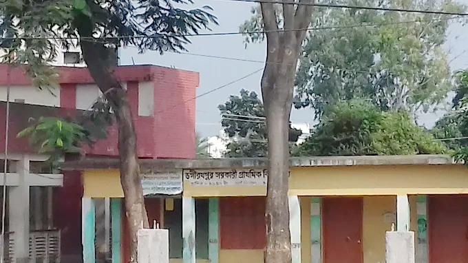 নরসিংদীতে প্রাথমিক বিদ্যালয়ে চুরি, বাদ যায়নি ছুটির ঘণ্টাও