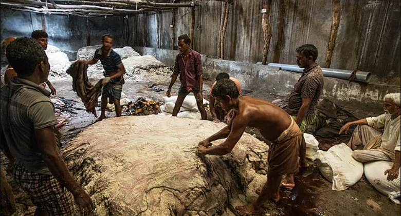৭৫–৮০ লাখ চামড়া সংগ্রহের লক্ষ্য, ঋণ সহায়তায় ব্যাংকগুলো